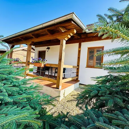 Elements 레드니체